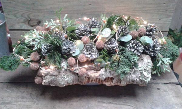 Kerst op schors
